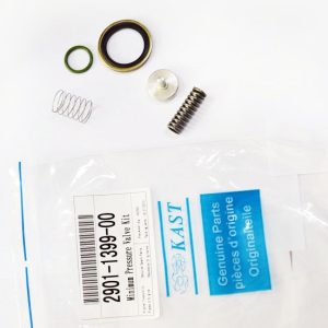 Bộ van áp suất tối thiểu 2901139900