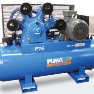 Máy nén khí piston Swan SWU-310N