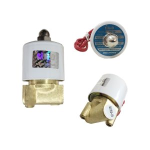 Van điện từ UD-8/AC220V