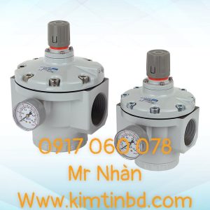 Bộ điều chỉnh vận hành thí điểm dòng lớn (SAR)