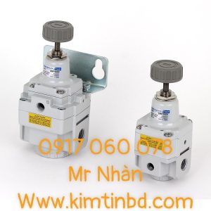 Bộ điều chỉnh chính xác (SRP)